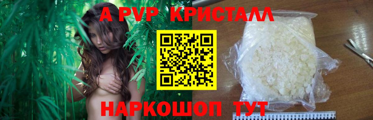 A-PVP СК КРИС Лесозаводск