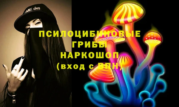 индика Няндома