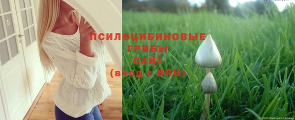 дурь Осташков
