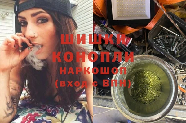 дурь Осташков