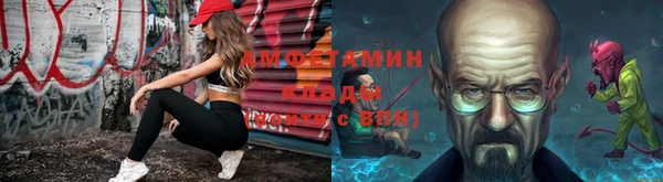 шишки Осинники