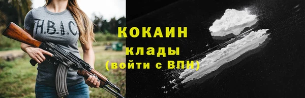 шишки Осинники
