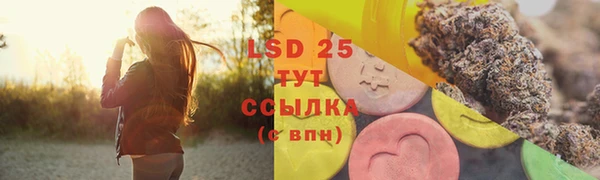 индика Няндома