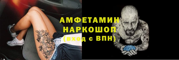шишки Осинники