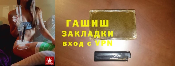 индика Няндома