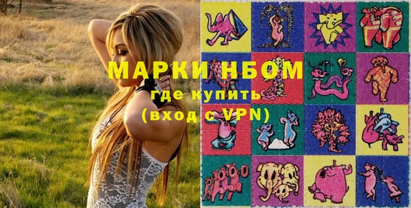 дурь Осташков