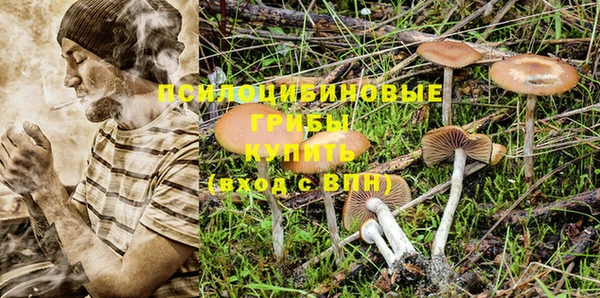 дурь Осташков