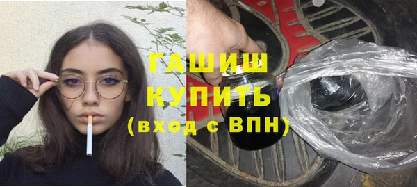 индика Няндома