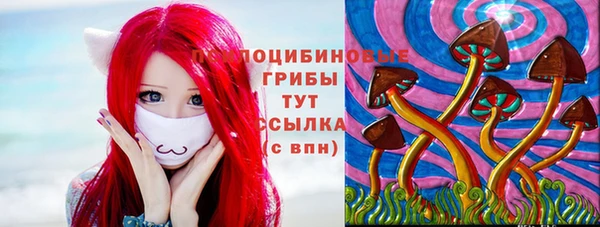 шишки Осинники