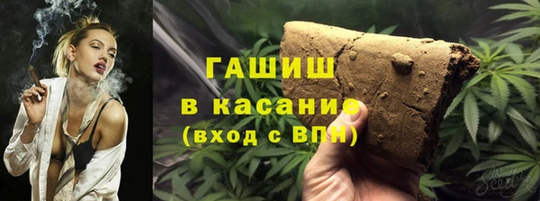 шишки Осинники