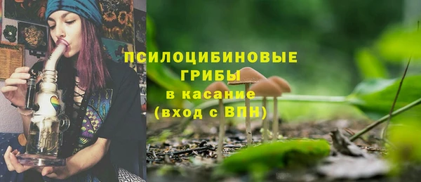 шишки Осинники