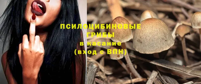 Галлюциногенные грибы MAGIC MUSHROOMS  купить  сайты  Лесозаводск 