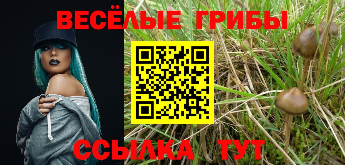 Псилоцибиновые грибы Cubensis  Вход с VPN  Галлюциногенные грибы Magic Shrooms  Лесозаводск 
