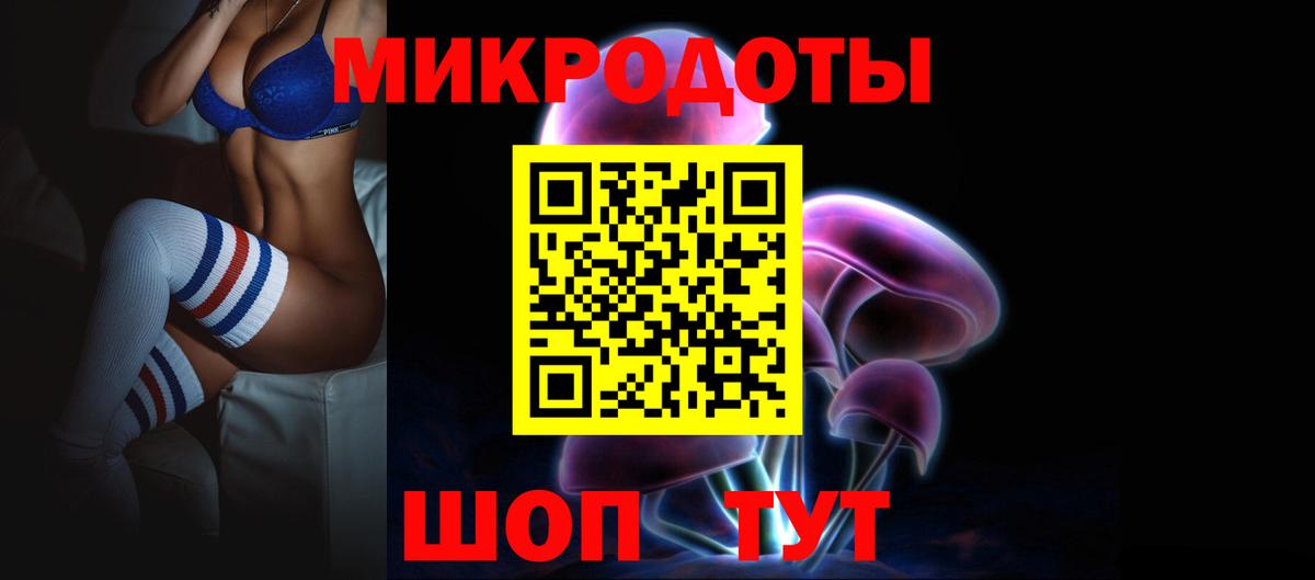 Галлюциногенные грибы Psilocybine cubensis Лесозаводск